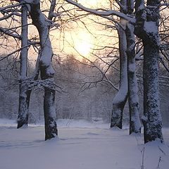 photo "Russian Winter"