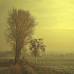 photo "FOGGY MORNING."