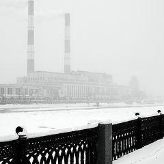 photo "***"