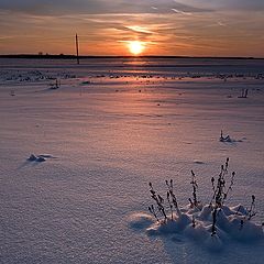 photo "Steppe all around..."