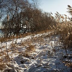 фото "Шуршали травы под снегами.."