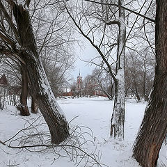 photo "Winter in countryside"