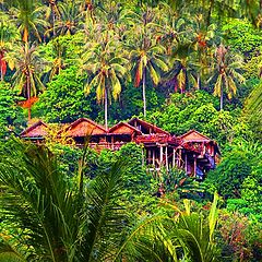 фото "Тайская деревня в джунглях."