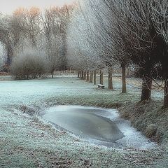 photo "Frozen day"