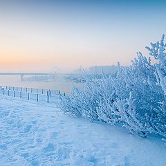 photo "Winter at the Moscow river"