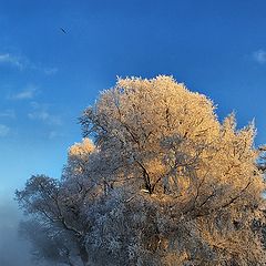 фото "зима - зима"