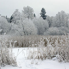 фото "У озера"