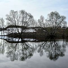 photo "The spring sky"