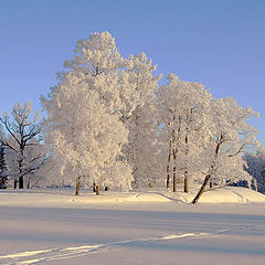 фото "Белая зима с пушистым инеем.."