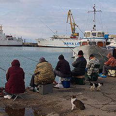 фото "В ожидании улова."