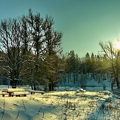 фото "Музыка под снегом"