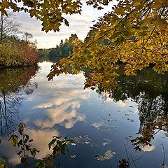 photo "Remember Autumn..."