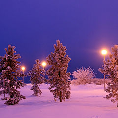 photo "***"