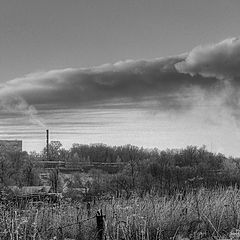 фото "о загрязнении"