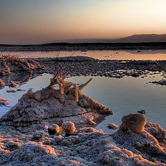 album "Dead Sea"