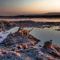 photo "Dead Sea"