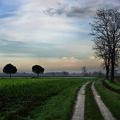 фото "Landscape and ligt"