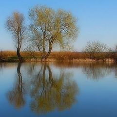 фото "Весенние зарисовки"