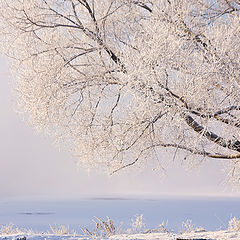 photo "Winter in Moscow"