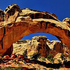 photo "ARCH PANO."