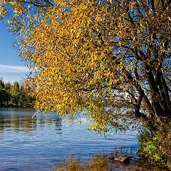 фото "Осень, осень..."