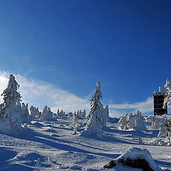 photo "Brocken"