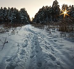 фото "Спрятать звезду.."