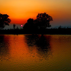 фото ""Sunset""