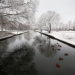 фото "Первый снег 3"