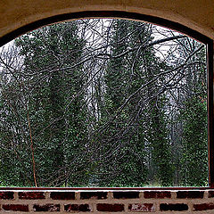 photo "Window and rain"