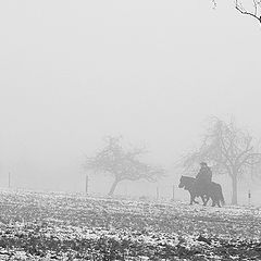 фото "Утренняя прогулка"