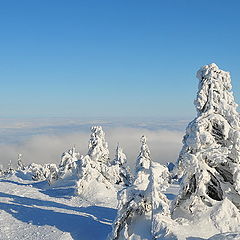 photo "Over the clouds"