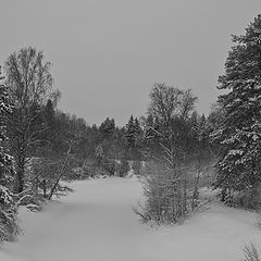 фото "Зимнее путешествие - 1"