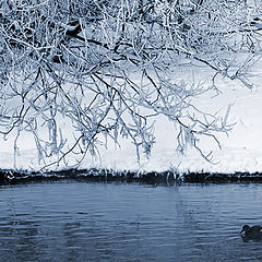 photo "***"