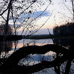 photo "***"