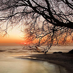 фото "Sunset at Lough Neagh"