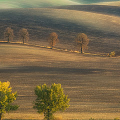 фото "Fields..."