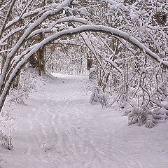 photo "Arch"