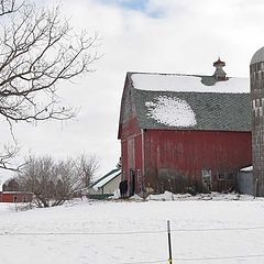 photo "barn study 01"