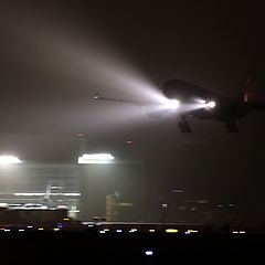 photo "landing in the mist"
