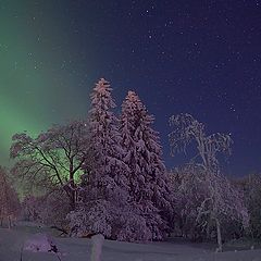 photo "Light Norhern Lights"