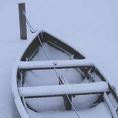 фото "Winter"