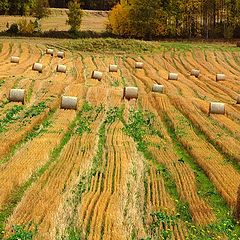 photo "Harvest time at the end of summer"