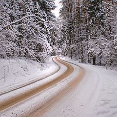 photo "The road"