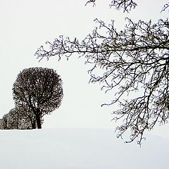 фото "В Петергофе"