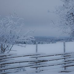 photo "Blue moment"