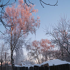 фото "В лучах утренних"