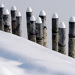 photo "Guards winter / Зимние гвардия"
