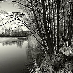 фото "на грани..."