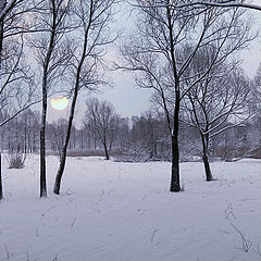 photo "frosty night"